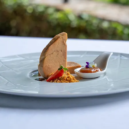 فندق Manoir D'hautegente Coly