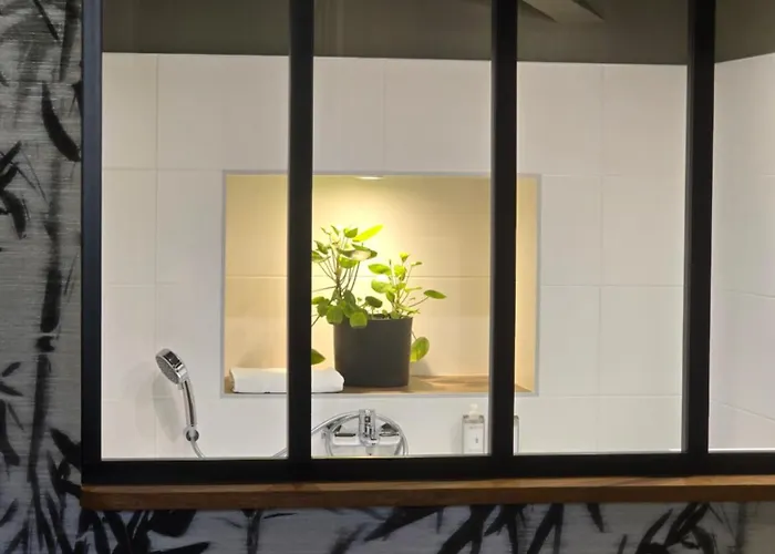 Manoir D'hautegente 4* Coly